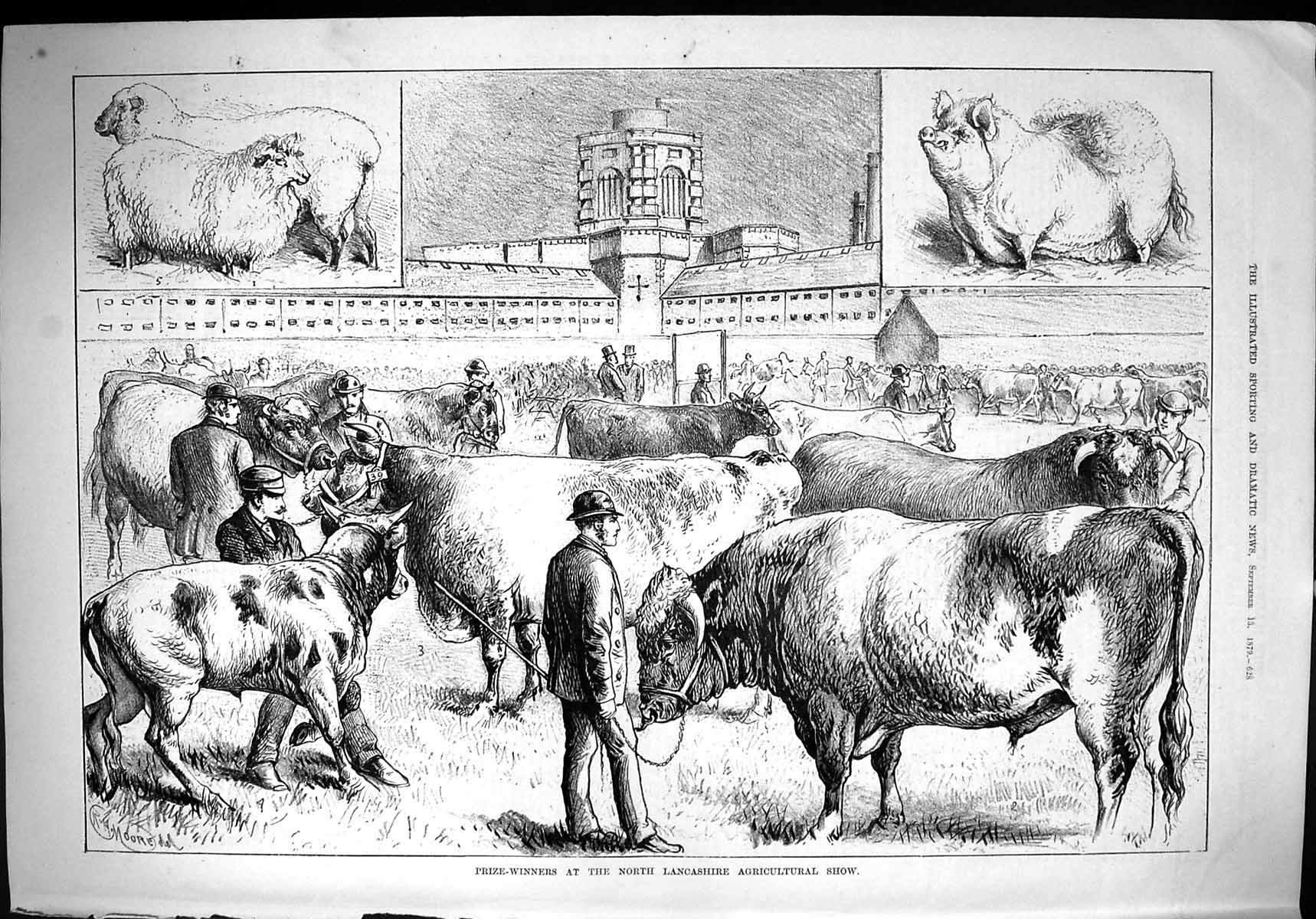 Old 1879 Prize-Winners Lancashire Agricultural Show Animals Sheep Pig Victorian