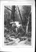 Original Old Antique Print 1879 Snared Hound Dog Hare Hunting Sport Forest 19th