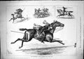 Antique Print 1879 Punjaubees Alexandra Park Horse Show Entertainment Sport