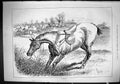 Old Sporting Dramatic News 1880 Hunting Horses Huntsmen Countryside S Victorian