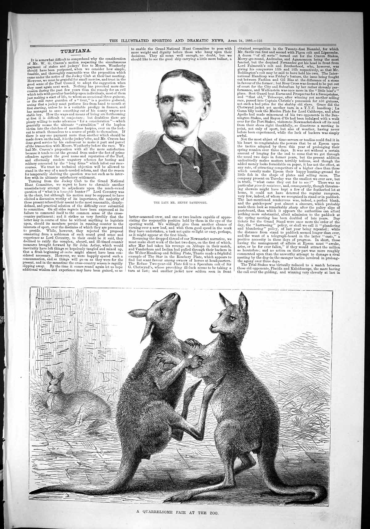 Old Sporting Dramatic News 1880 Henry Davenport Kangaroos Fighting Zo Victorian