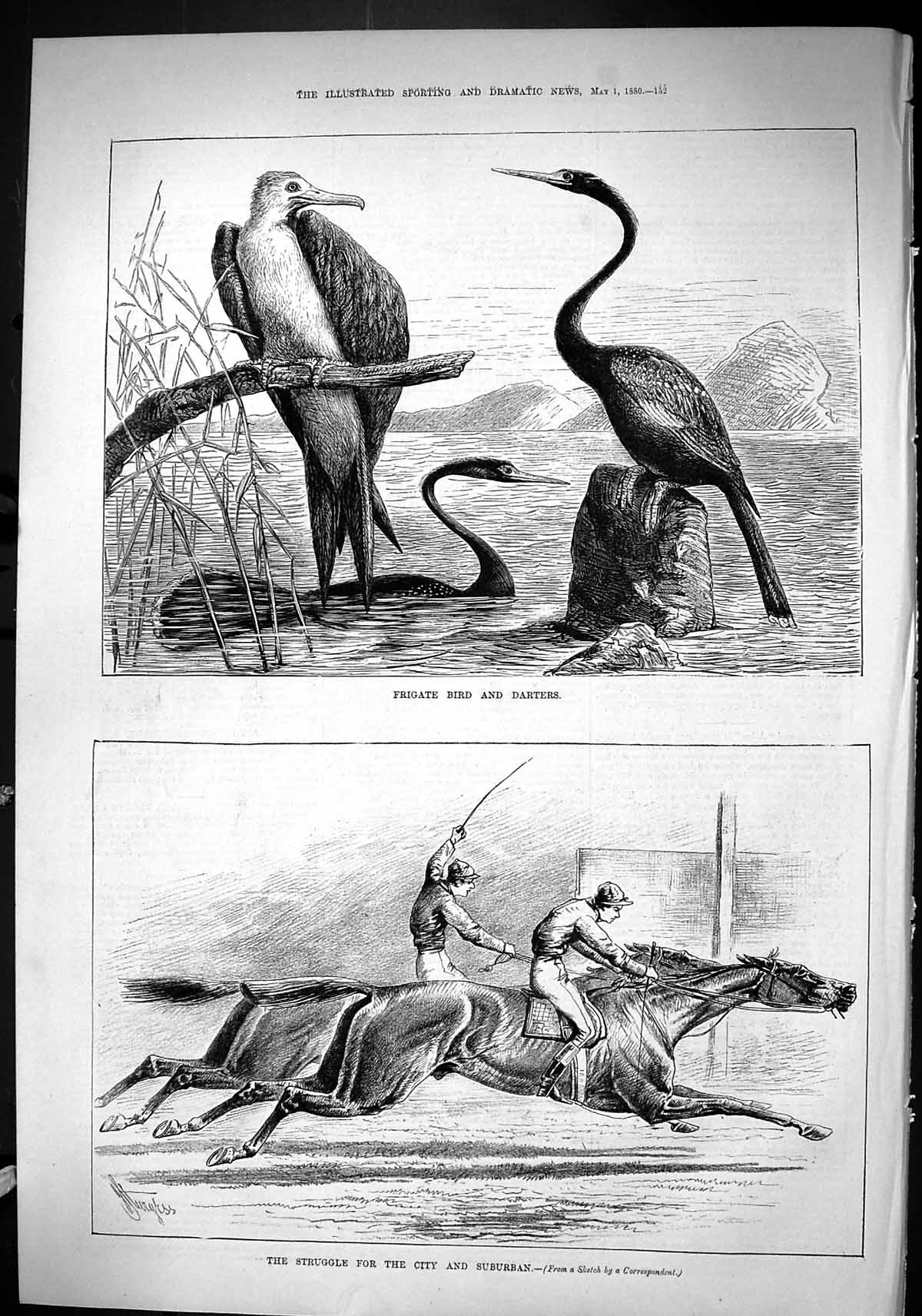 Old Sporting Dramatic News 1880 Frigate Bird Darters Horse Racing Cit Victorian