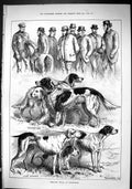 Old Sporting Dramatic News 1880 Field Dog Trials Nottingham Beauty Ro Victorian