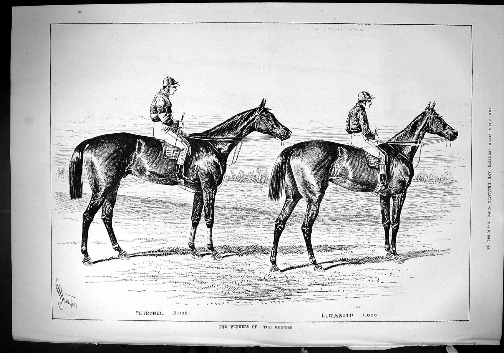 Old Sporting Dramatic News 1880 Guineas Horse Racing Petronel Elizabe Victorian