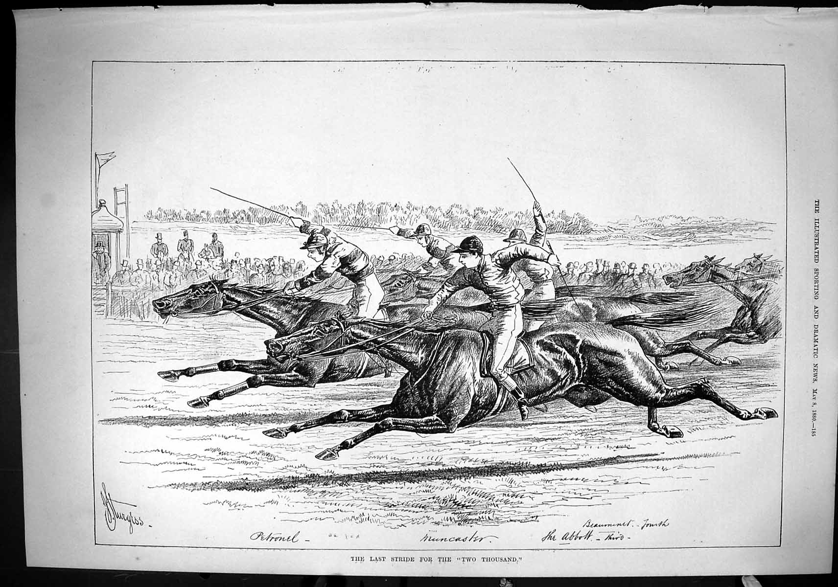 Old Sporting Dramatic News 1880 Two Thousand Horse Racing Sport Munca Victorian