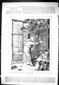 Original Old Antique Print Sporting Dramatic News 1880 Feeding Pets Man Birds