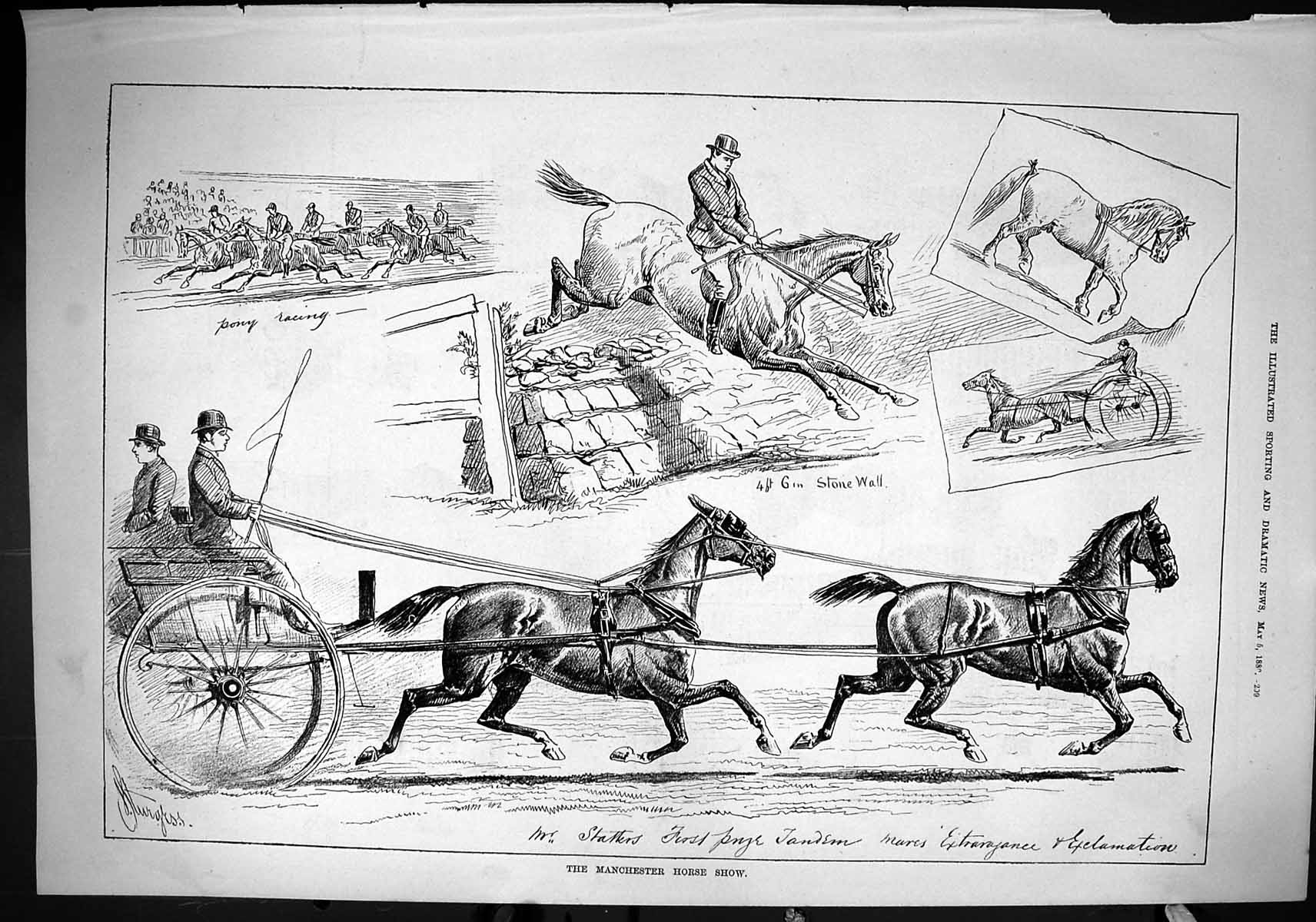 Old Sporting Dramatic News 1880 Manchester Horse Show Jumping Carriag Victorian
