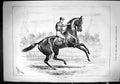 Old Sporting Dramatic News 1880 Horse Racing Jockey Fit Fiddle Sturge Victorian
