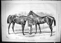 Old Sporting Dramatic News 1880 Derby Oak Horse Race Winnters Jenny H Victorian