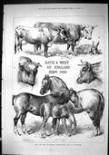 Old Sporting Dramatic News 1880 Bath England Agricultural Show Worces Victorian