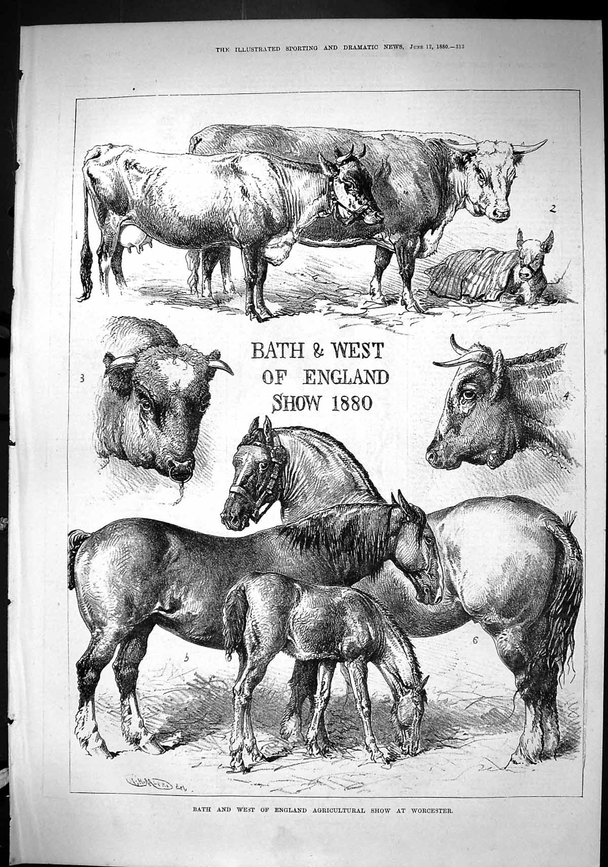 Old Sporting Dramatic News 1880 Bath England Agricultural Show Worces Victorian