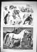 Old Sporting Dramatic News 1880 Victoria Theatre Russian Trotting Hor Victorian