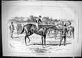 Old Sporting Dramatic News 1880 Incorrigible Brute Race Horse Jockeys Victorian