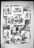 Old Sporting Dramatic News 1880 Picnic Scene Fetching Water Romance F Victorian