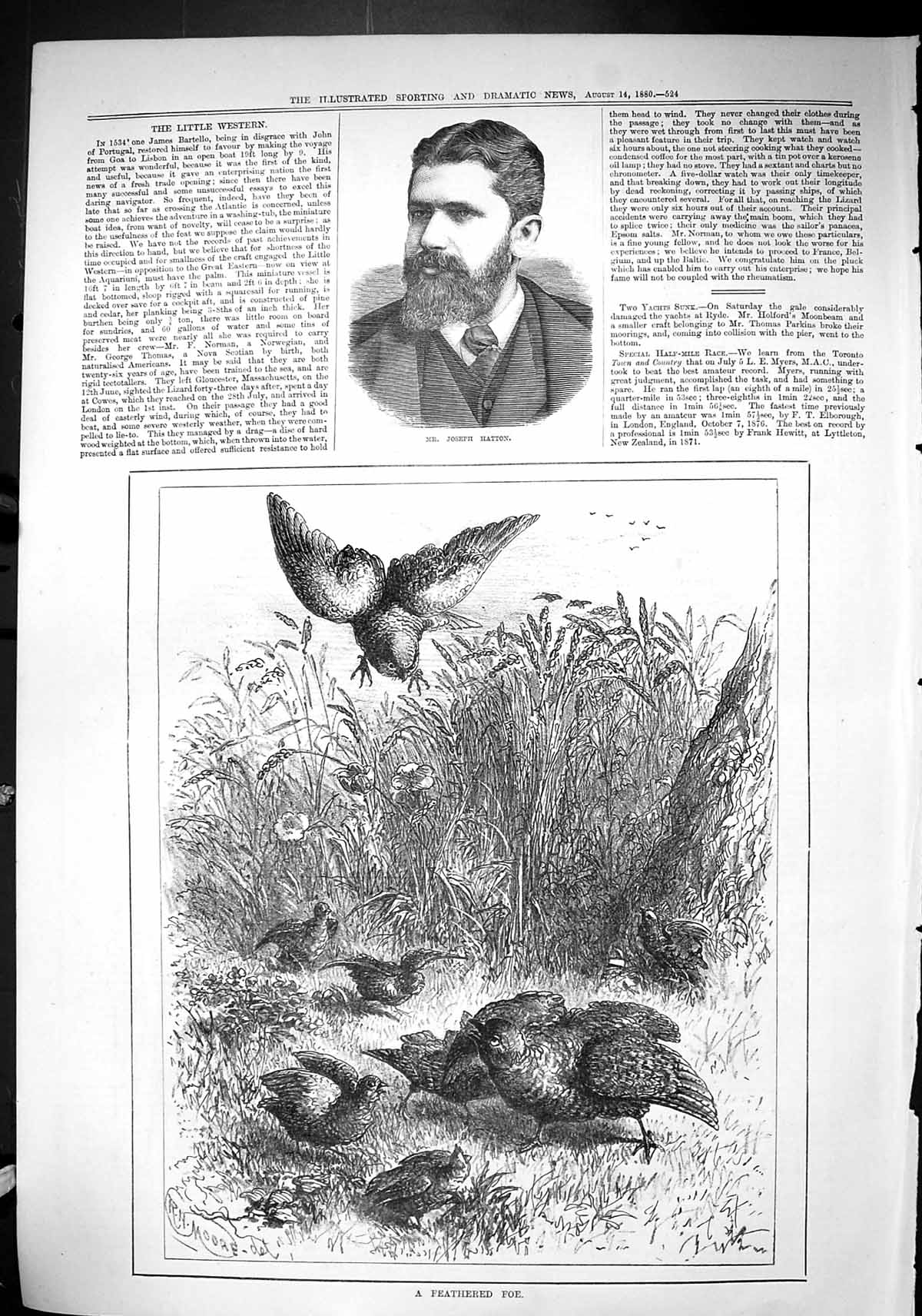 Old Sporting Dramatic News 1880 Joseph Hatton Feathered Foe Birds Moo Victorian