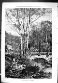 Old Sporting Dramatic News 1880 Wild Flowers Stream Children Bridge F Victorian