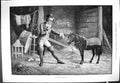 Original Old Antique Print 1880 Private Training Man Stable Little Pony Horse