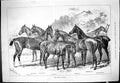 Old Print 1880 Belhus Hunters Horses Buck Driffield Blackwater Gfinch Ve 19th