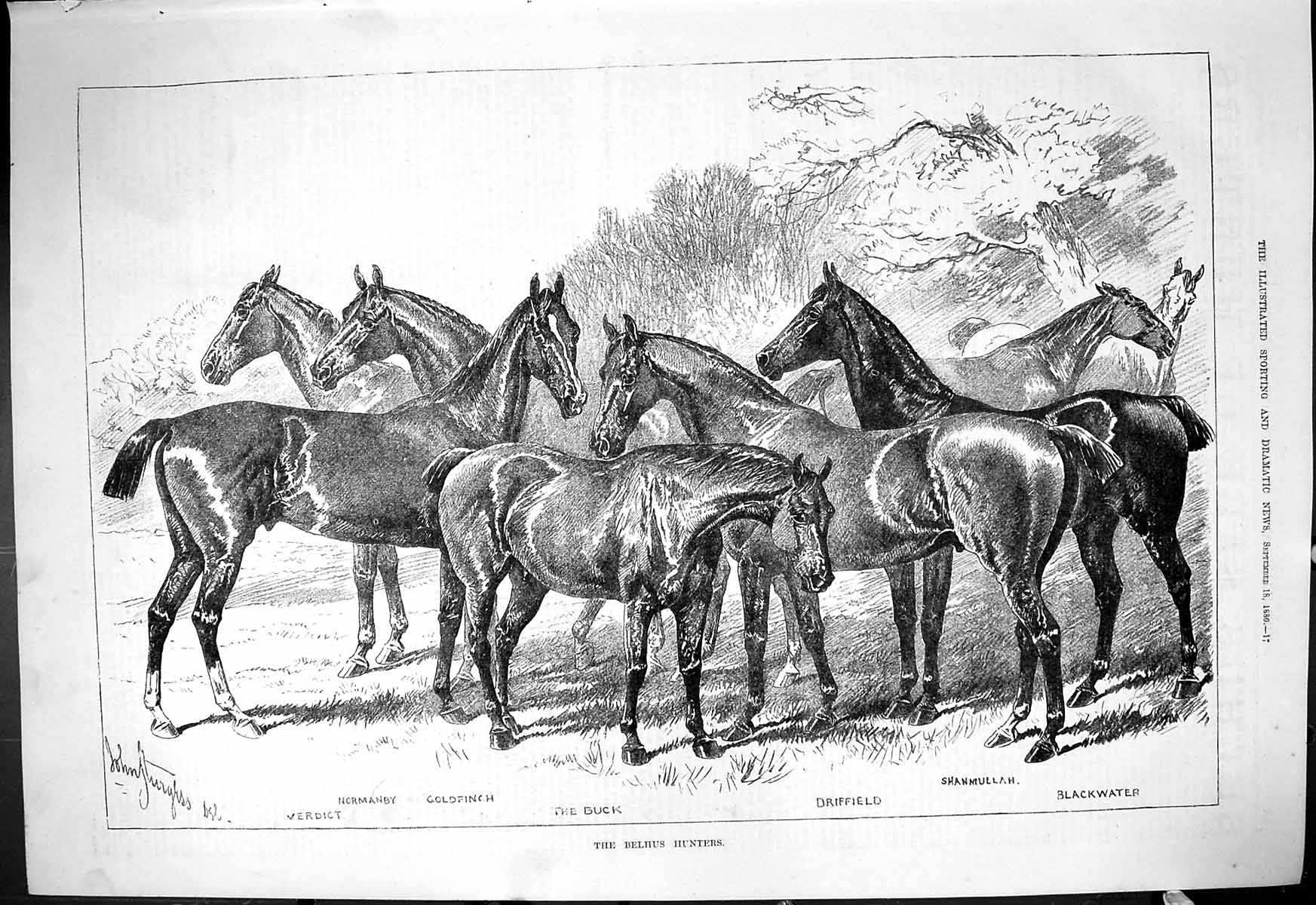Old Print 1880 Belhus Hunters Horses Buck Driffield Blackwater Gfinch Ve 19th