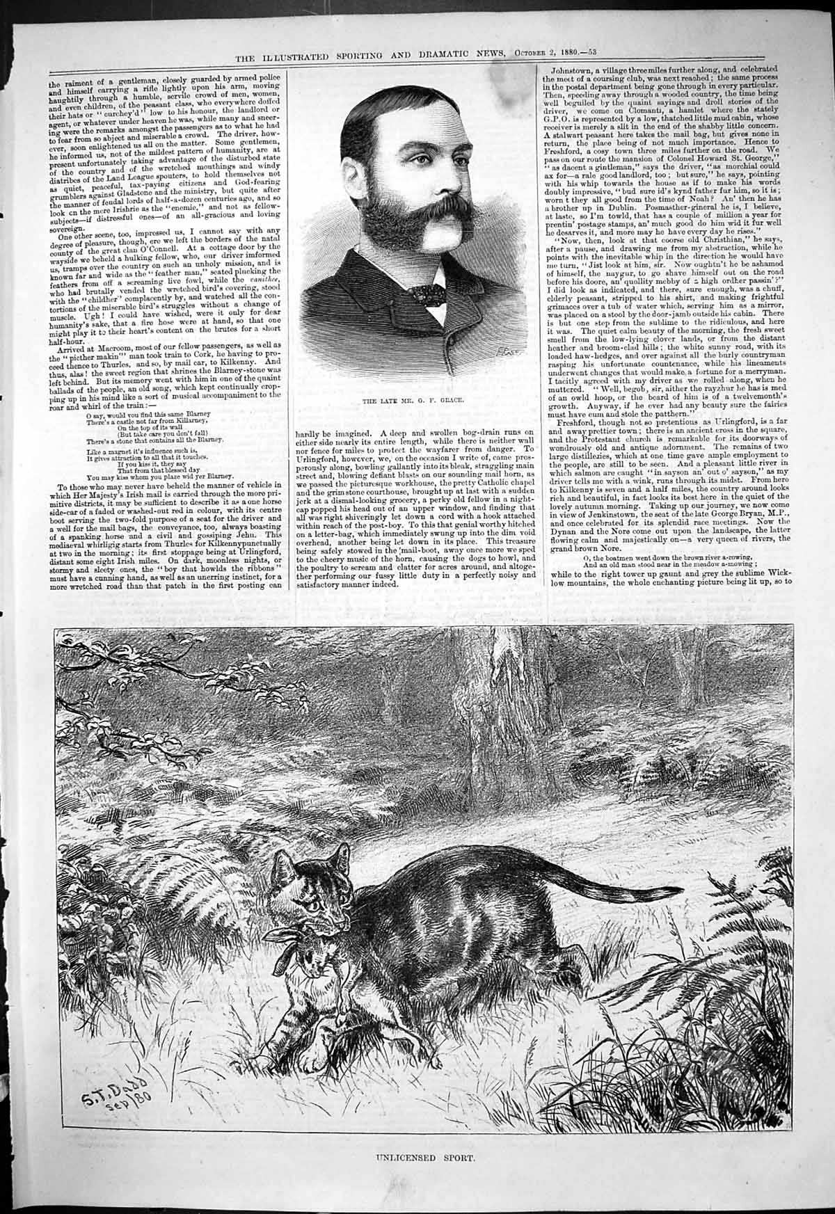 Antique Old Print 1880 Portrait Mr Grace Unlicensed Sport Cat Hunting Rabbit