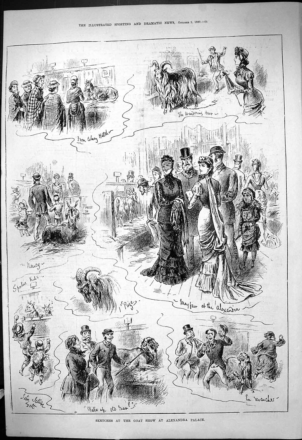 Original Old Antique Print 1889 Sketches Goat Show Alexandra Palace Victorian