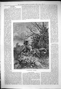 Original Old Antique Print 1880 Professional Poacher Fox Rabbit Nature 19th