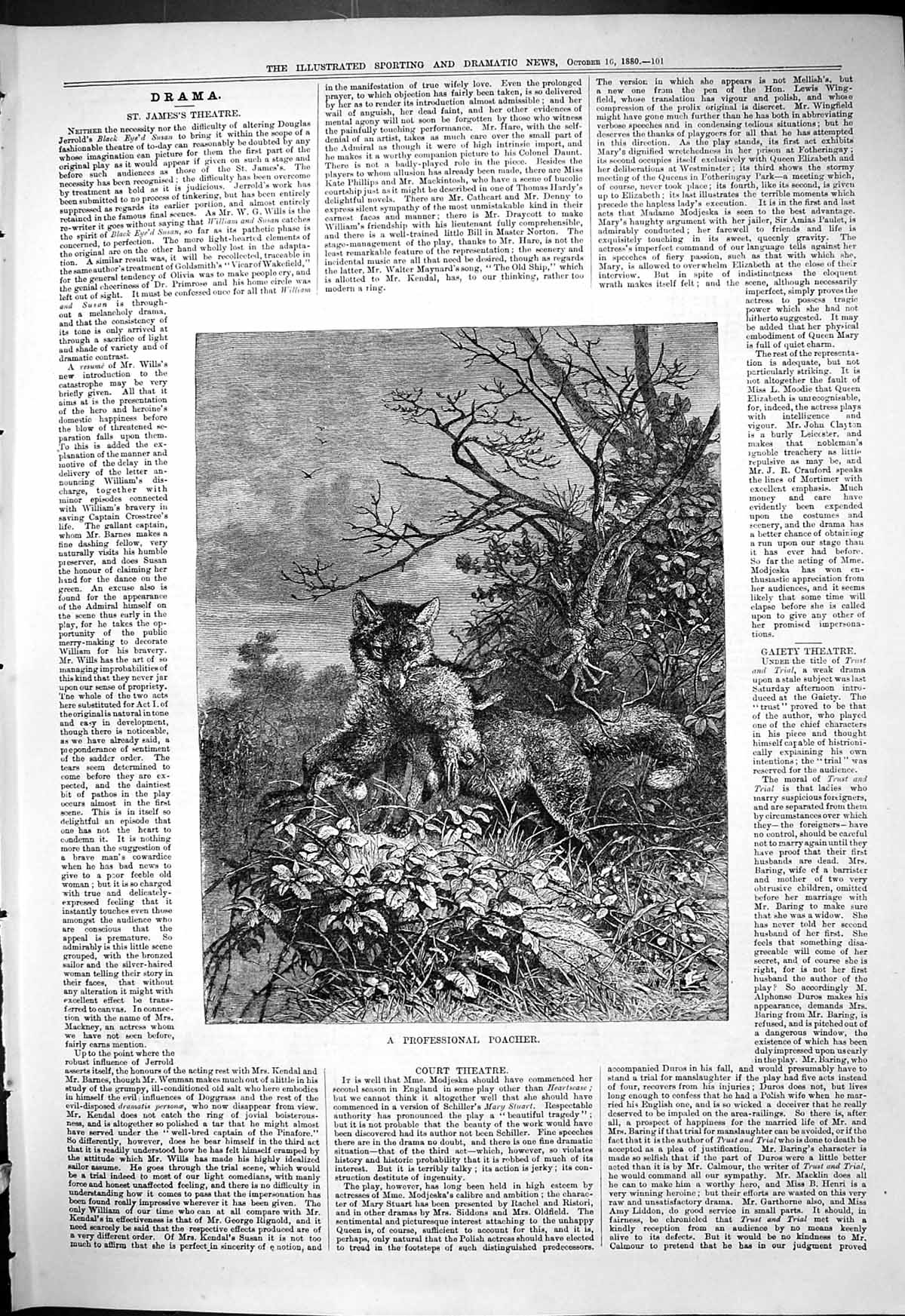 Original Old Antique Print 1880 Professional Poacher Fox Rabbit Nature 19th