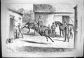 Original Old Antique Print 1880 What A Brute Sturgess Horses Stables Trainers
