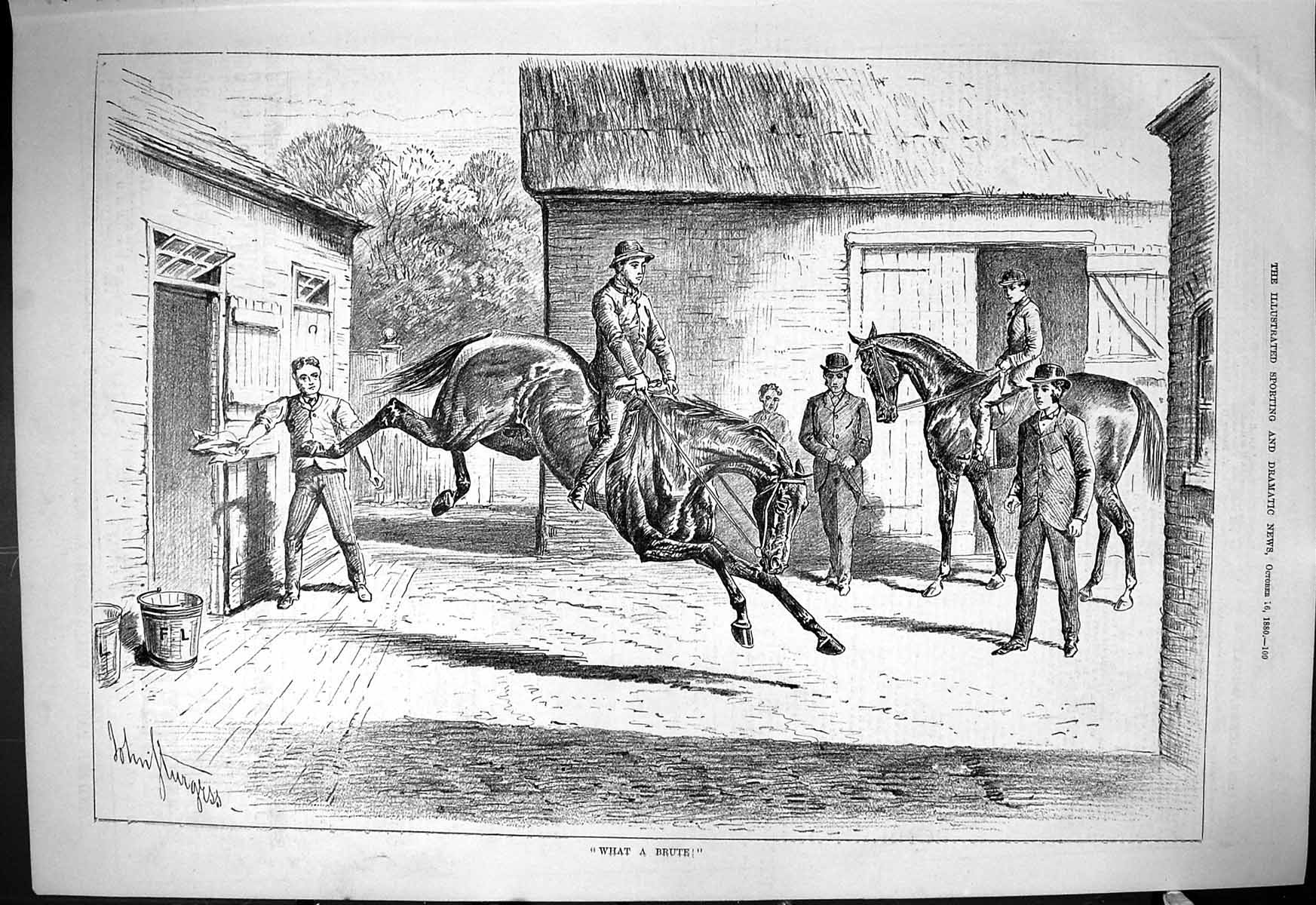 Original Old Antique Print 1880 What A Brute Sturgess Horses Stables Trainers