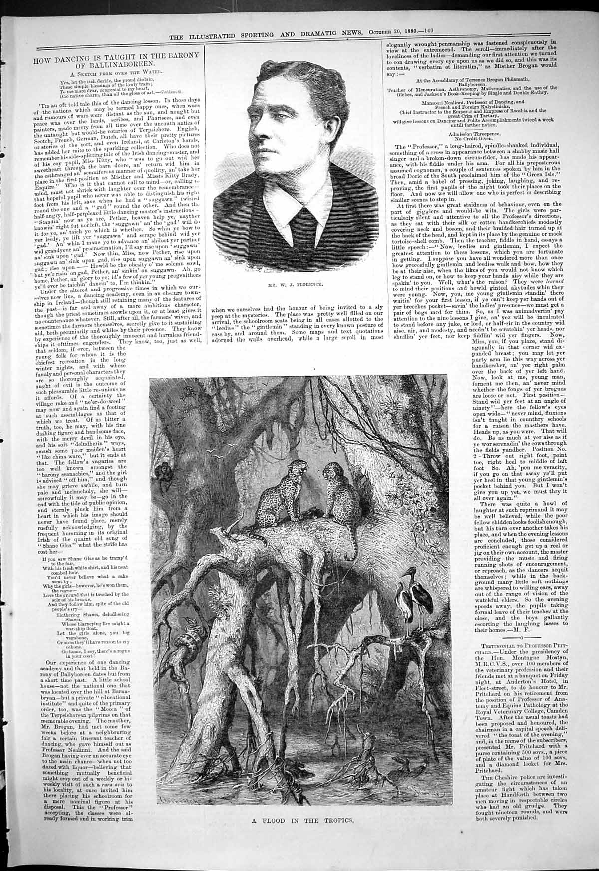 Old Antique Print Flood Tropics Animals Trees 1880 Portrait Mr Florence 19th