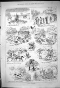 Old 1880 Fox Cub Hunting Magpie Bird Horses Huntsmen Hounds Dogs Spor Victorian