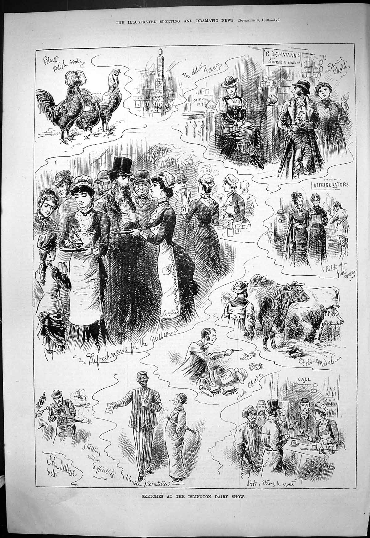 Old 1880 Sketches Islington Dairy Show Black Polish Fowls Cows Animal Victorian