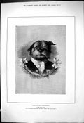Original Old Antique Print 1880 Dogs Corporation Lord Mayor Theatre Victorian
