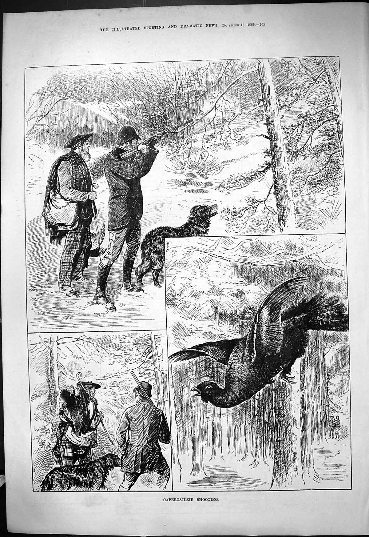 Original Old Antique Print 1880 Capercailzie Shooting Hunting Birds Scotland