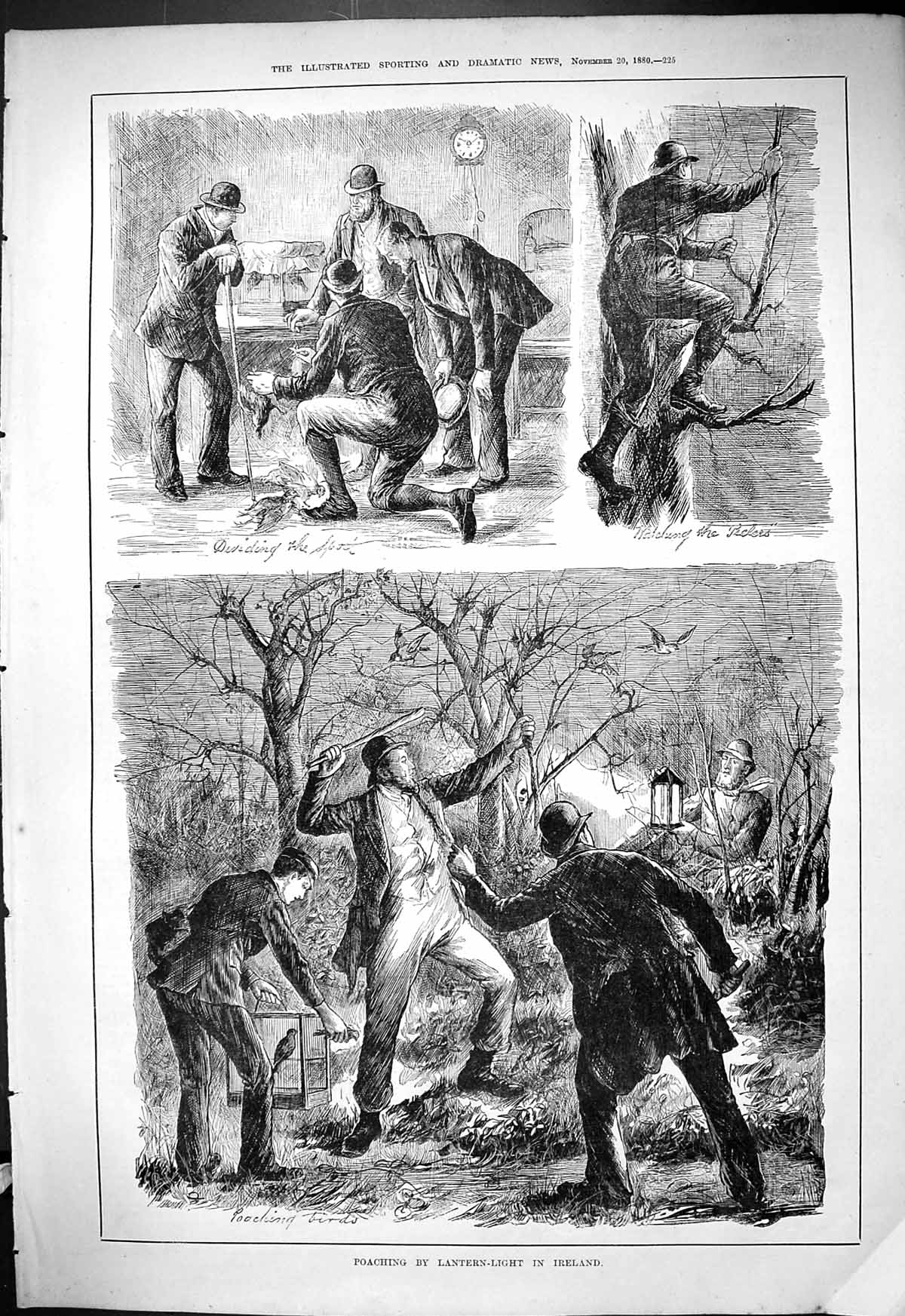 Original Old Antique Print 1880 Poaching Lantern Light Ireland Birds Victorian