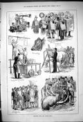 Original Old Antique Print 1880 Cattle Show Animals Pig Cow Bull 19th