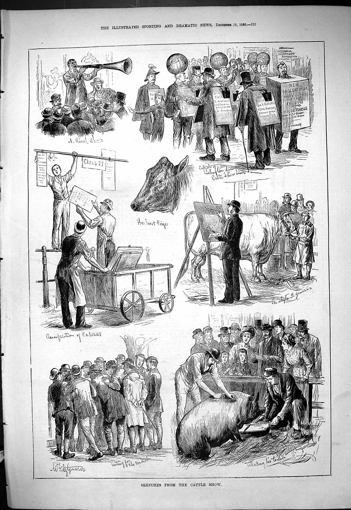 Original Old Antique Print 1880 Cattle Show Animals Pig Cow Bull 19th