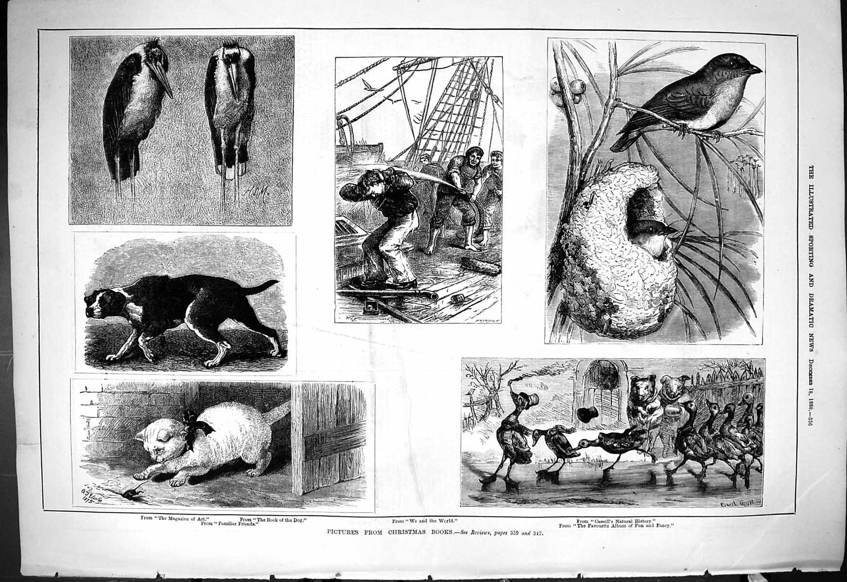 Old 1880 Pictures Christmas Books Birds Ship Deck Animals Cassell Dog Victorian
