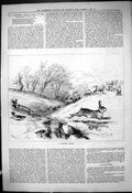 Original Old Antique Print 1880 Narrow Escape Fox Hunting Sheep Hare Sport 19th