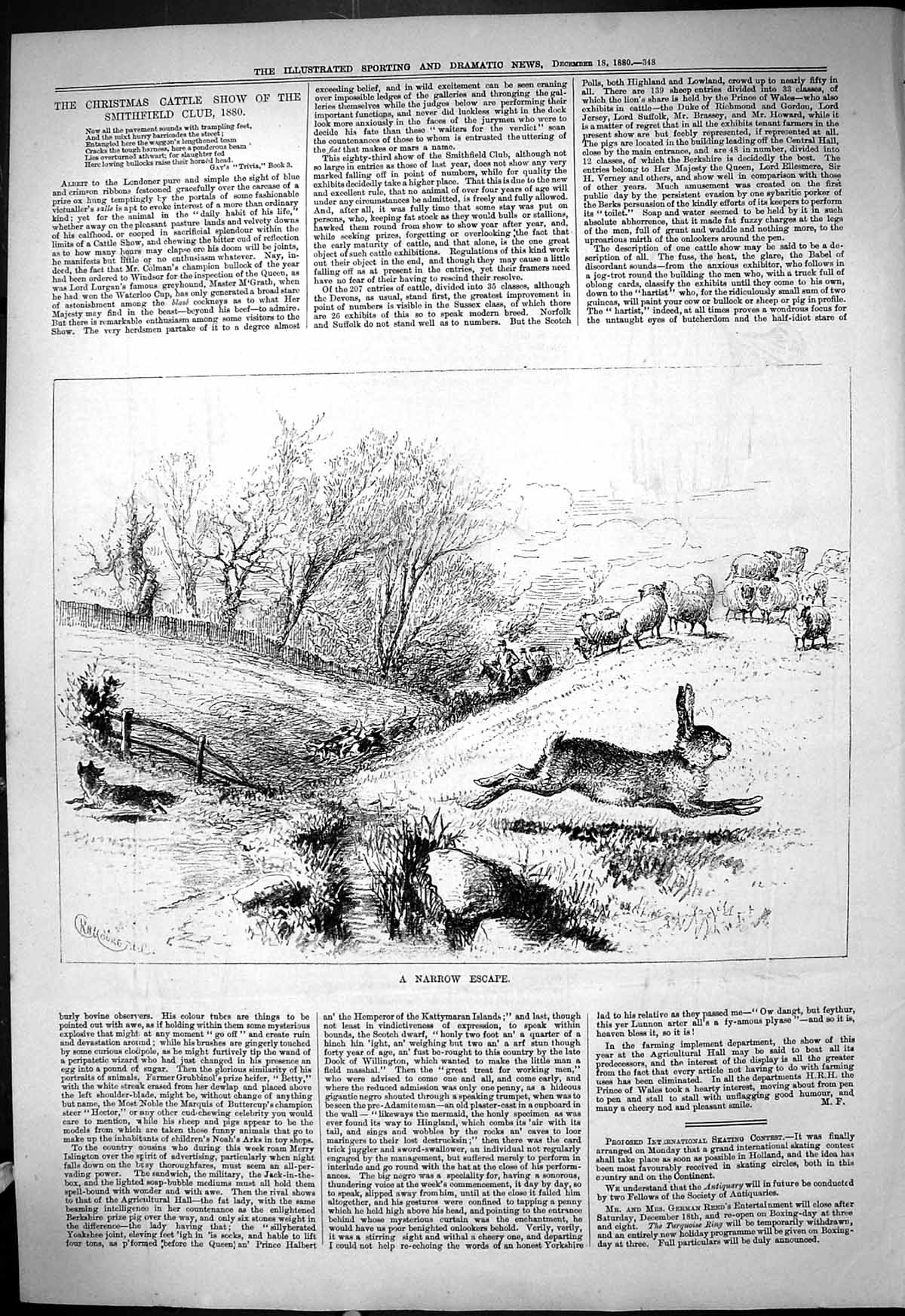 Original Old Antique Print 1880 Narrow Escape Fox Hunting Sheep Hare Sport 19th