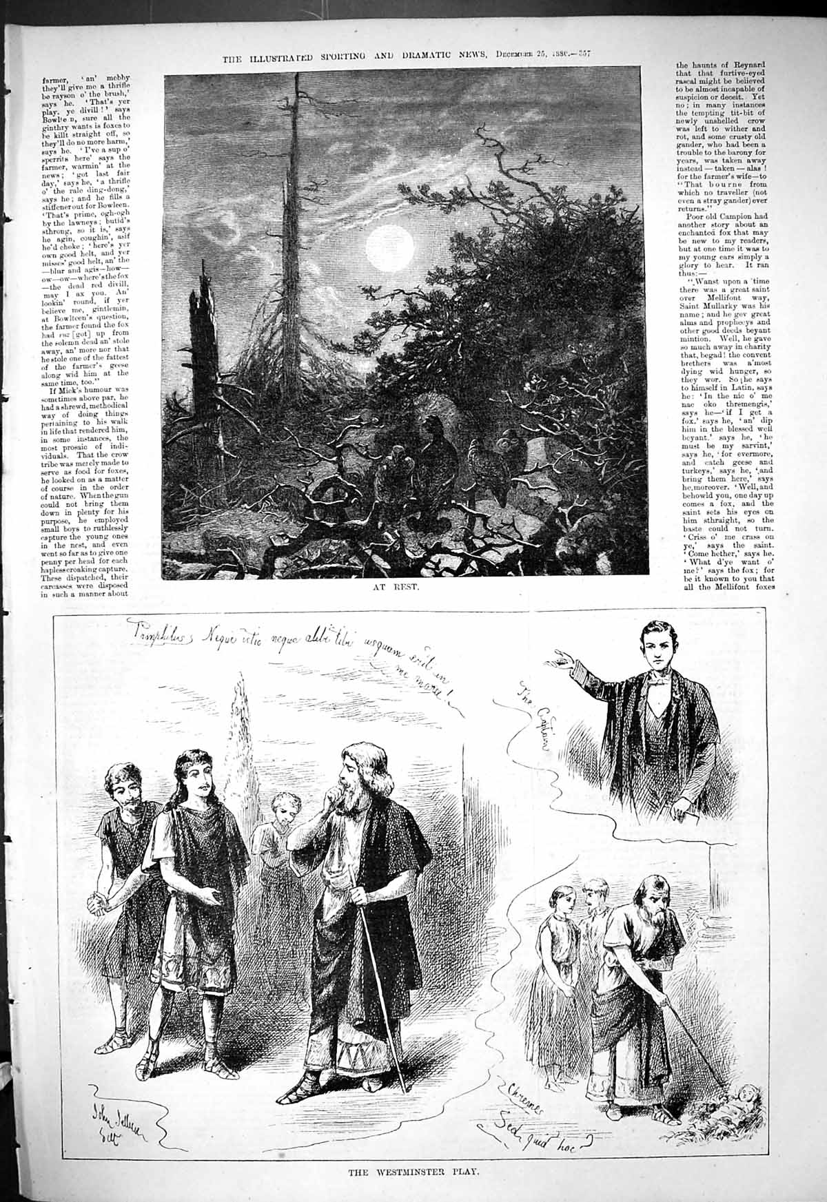Old Antique Print 1880 Moonlight Birds At Rest Westminster Play Theatre 19th