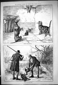 Old 1880 Great Expectation Begging Dog Dead Birds Cats Fox Food Hunti Victorian
