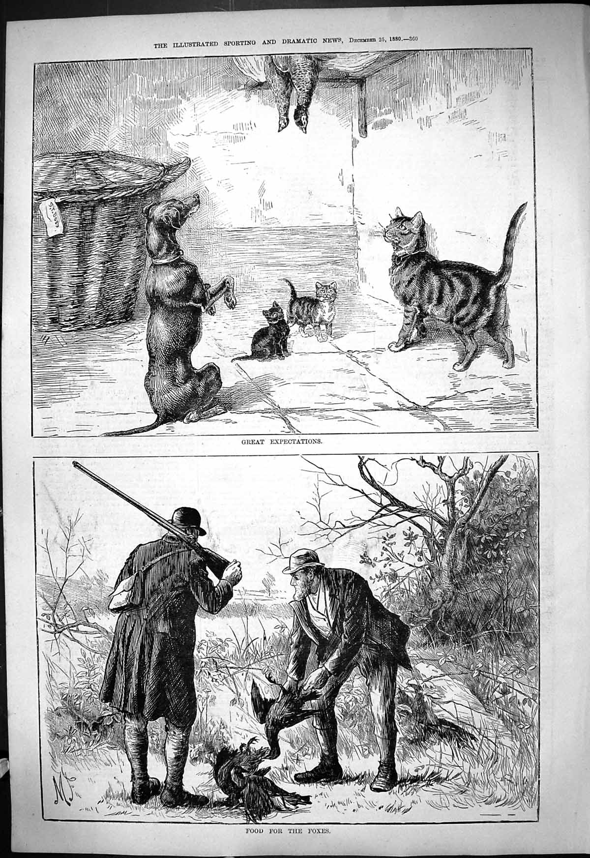 Old 1880 Great Expectation Begging Dog Dead Birds Cats Fox Food Hunti Victorian