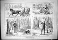 Original Old Antique Print 1881 Canadian Sport Canada Shooting Hunting 19th