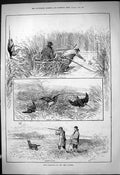 Antique Old Print 1881 Snipe Birds Shooting Fen Country River Boat Hunting 19th