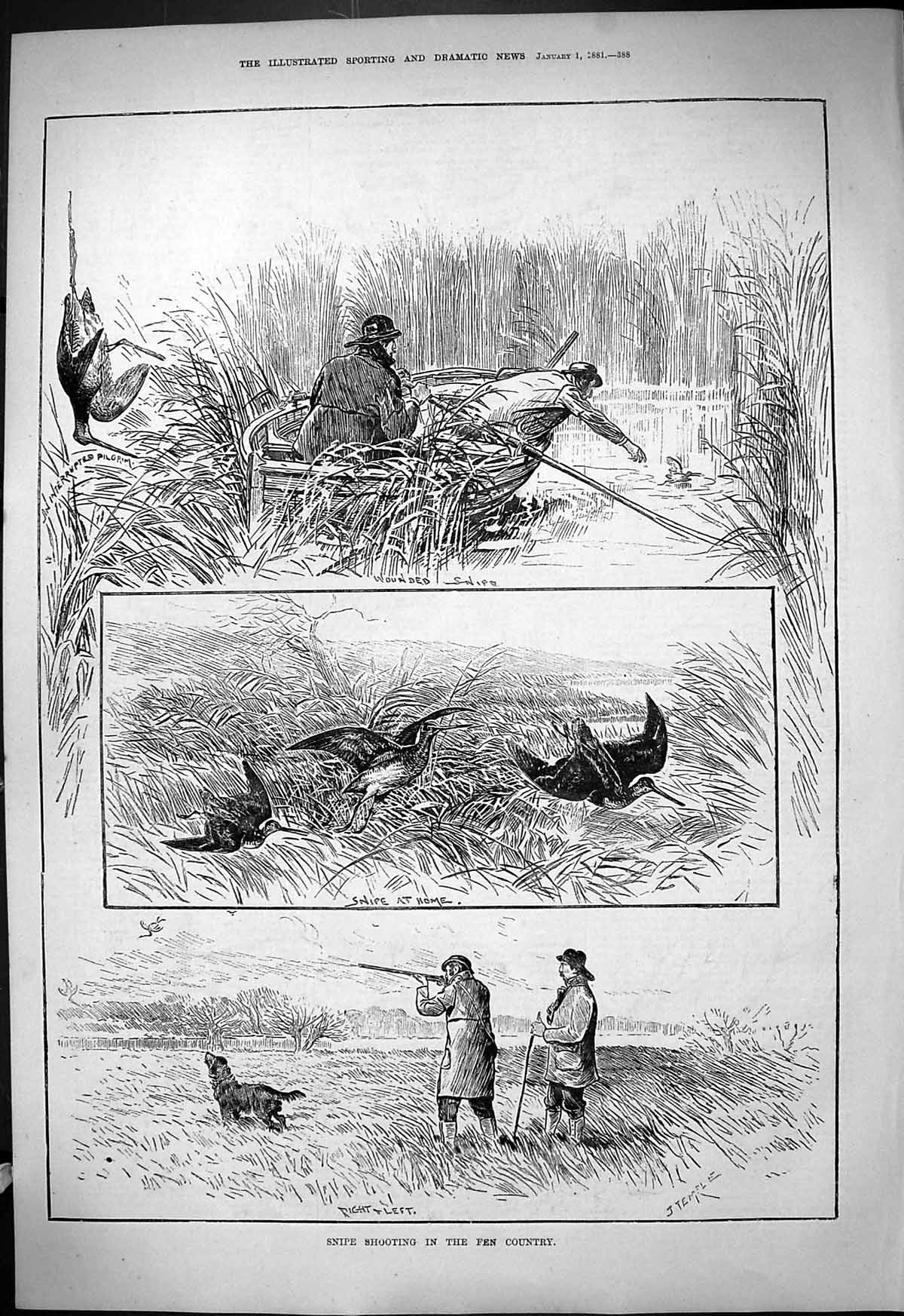Antique Old Print 1881 Snipe Birds Shooting Fen Country River Boat Hunting 19th