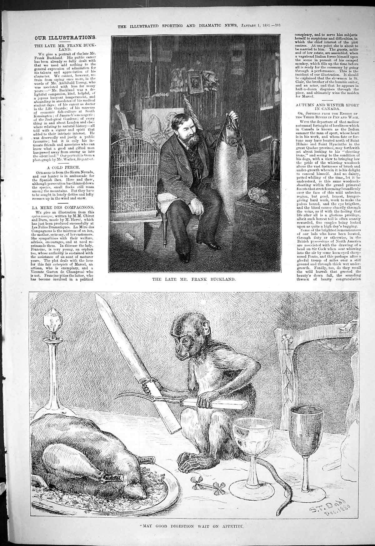 Old 1881 Portrait Frank Buckland Fish Monkey Fork Knife Dinner Table Victorian