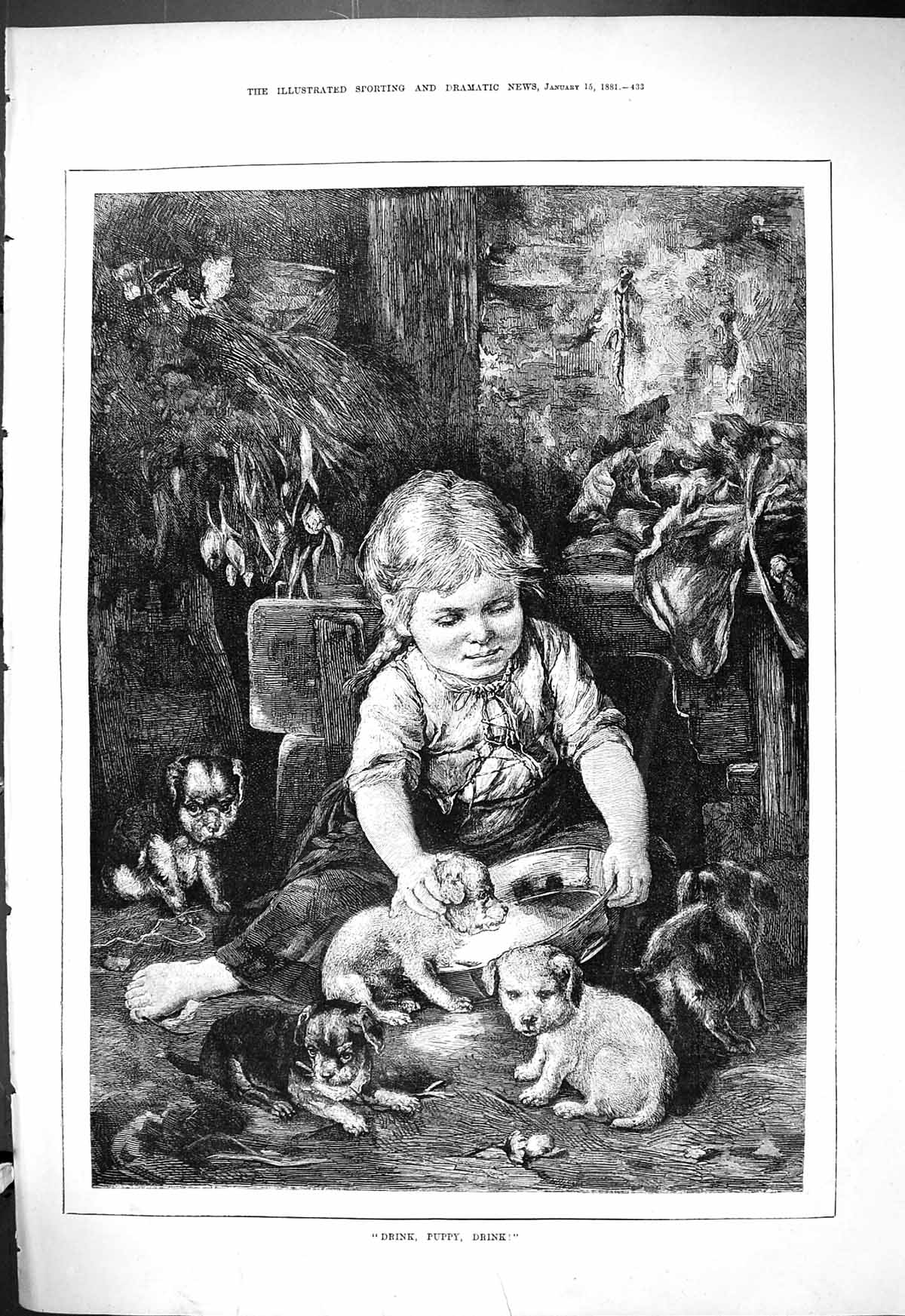 Original Old Antique Print 1881 Drink Puppy Young Girl Feeding Pet Dogs Milk