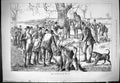 Original Old Antique Print 1881 Otter Hunting Digging Him Out Huntsmen Dogs