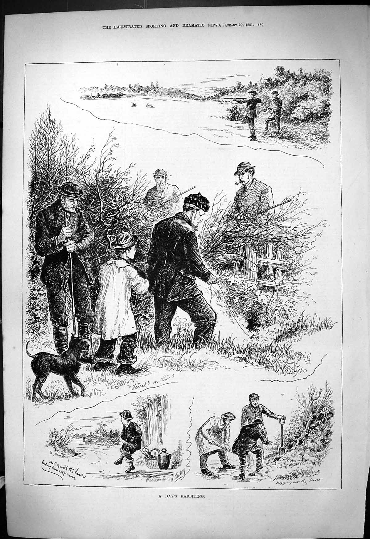 Original Old Antique Print 1881 Day'S Rabbiting Hunting Rabbits Shooting Sport